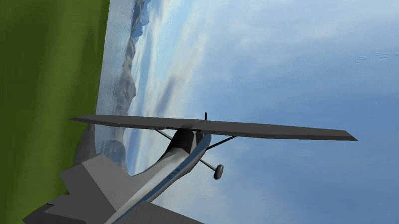 FlightSim Game